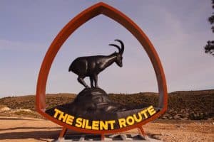 Cabra montesa de la Ruta del Silencio.